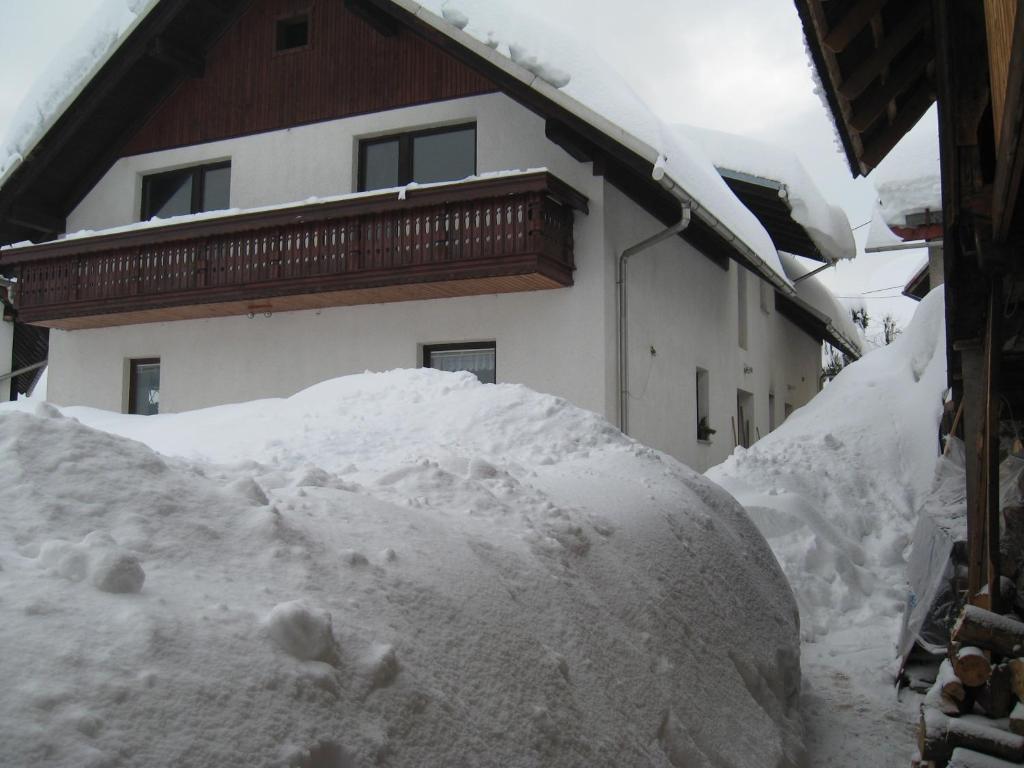 Apartma Tilika v zimě