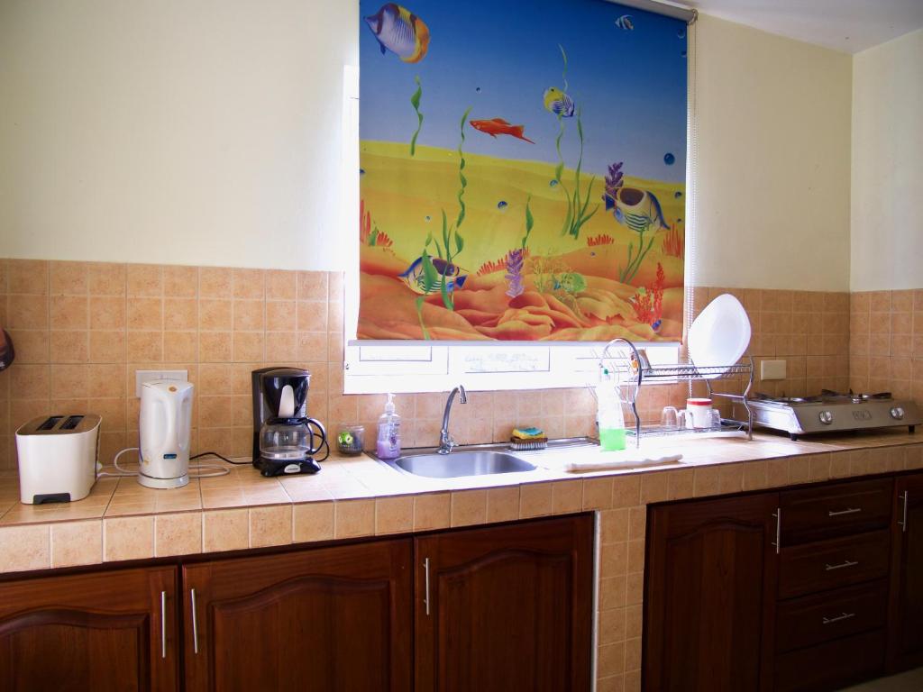 Kuchyň nebo kuchyňský kout v ubytování Azure Villa