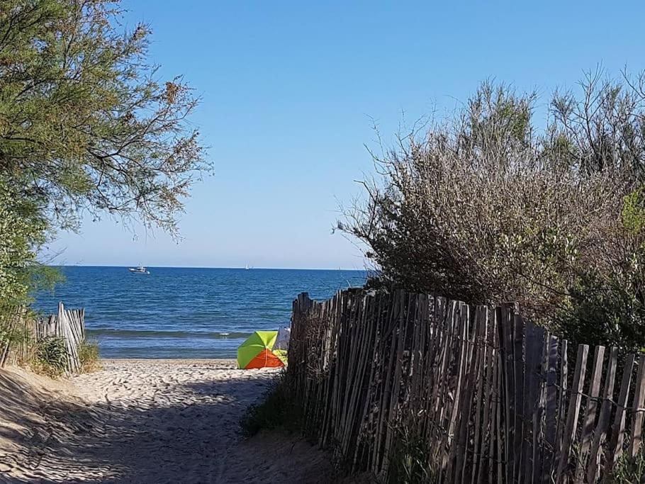 Przyroda w pobliżu tego apartamentu