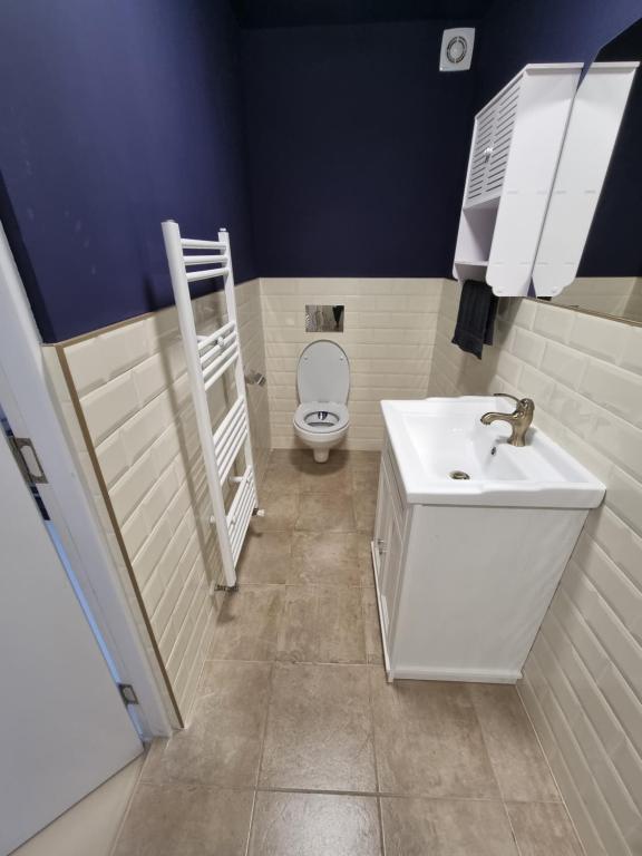 a bathroom with a white sink and a toilet at Andreea's place in Braşov