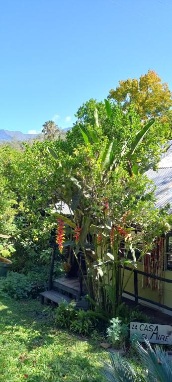 a small tree with red flowers in a yard at Skale Peregrino in Choachí