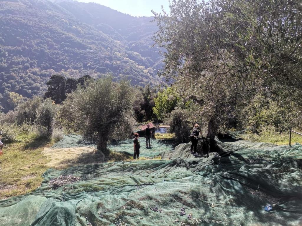 A casa di Natalia