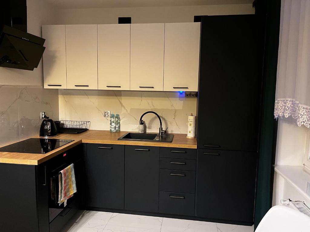Kuchyňa alebo kuchynka v ubytovaní Komfortowy Apartament w centrum