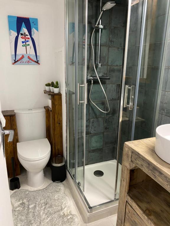 łazienka z prysznicem, toaletą i umywalką w obiekcie Charmant studio avec coin nuit en mezzanine La Foux d'Allos w mieście Allos