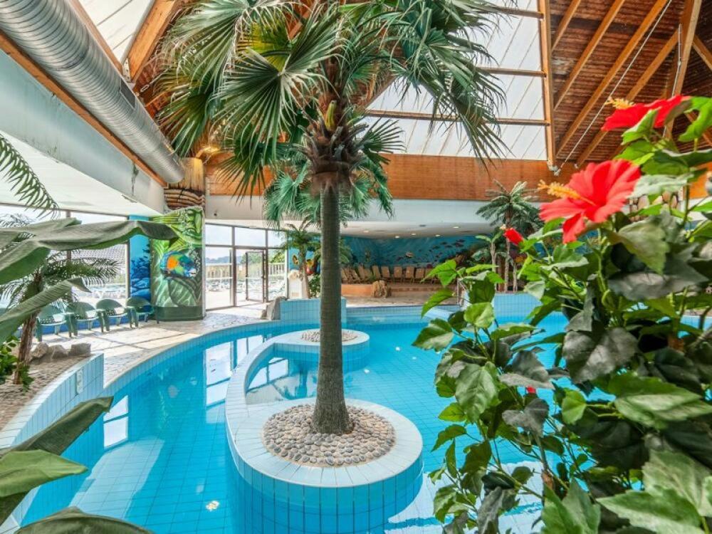 una gran piscina con una palmera en un edificio en Le Cottage de Matys, en Branville