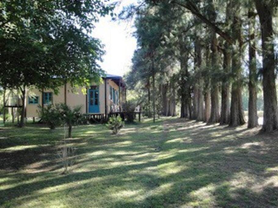 a yard with trees in front of a house at Casa SUPIAVENTO RIO Delta Tigre 8 PREMIUM WIFI in Dique Luján