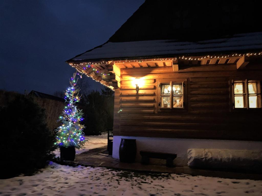 a christmas tree in front of a house at night at Liptovská Drevenica in Liptovský Mikuláš