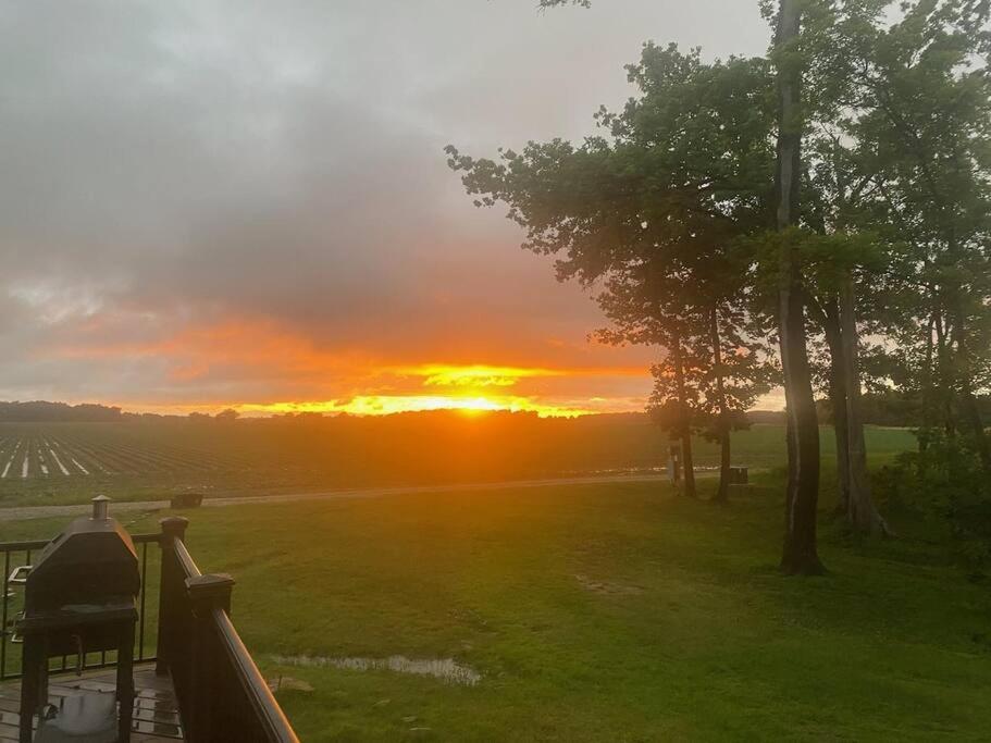 Sunset Farms, Marvell (updated prices 2024)