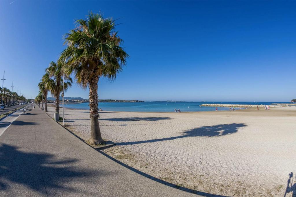 a beach with palm trees and the ocean on a sunny day at Charming Studio With Terrace And 180 Sea View in Six-Fours-les-Plages