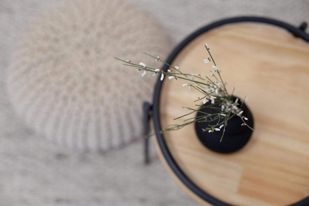 Apartman Čakovec - 19