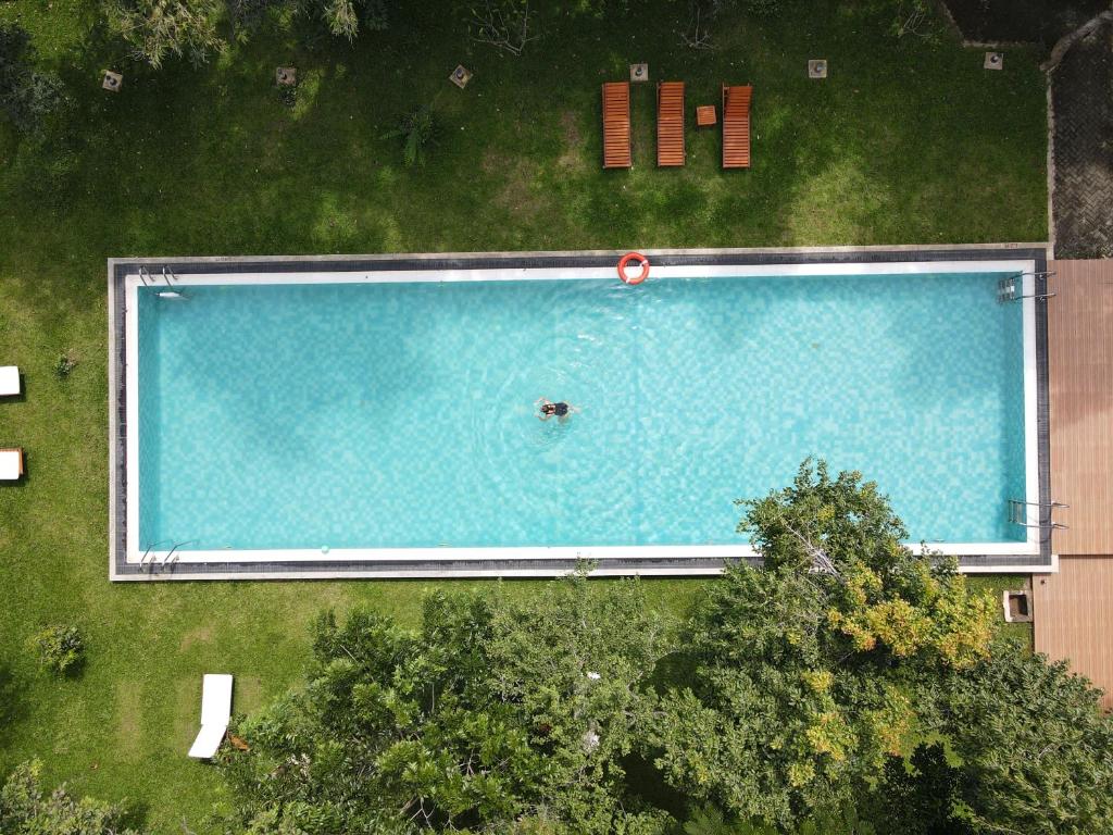Bazén v ubytování NIVADOO RESORT SIGIRIYA nebo v jeho okolí