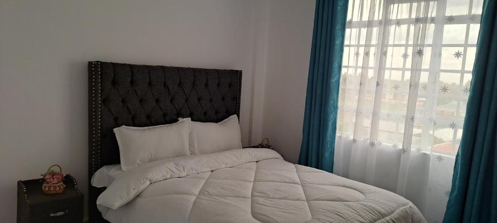1 dormitorio con 1 cama y ventana grande en Nice Place en Ol Pejeta Conservancy