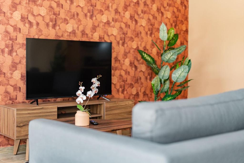 Roma Norte Apartments by VH - Apartment With Terrace