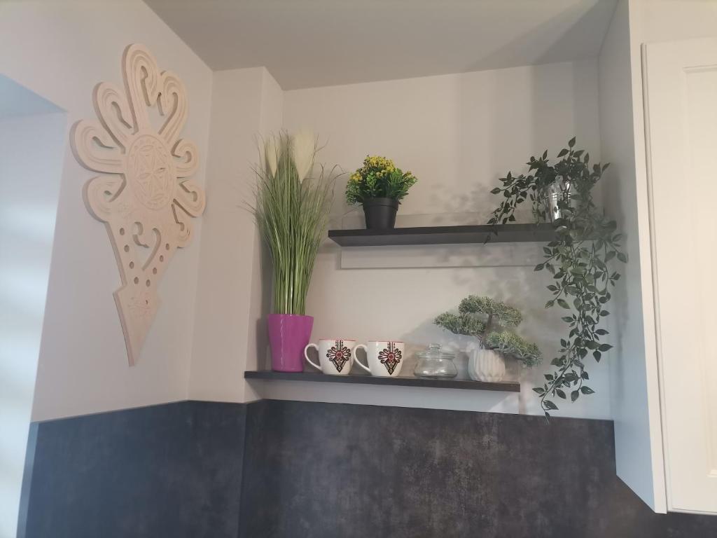 Zdjęcie z galerii obiektu Apartament Górska Szarotka w Nowym Targu