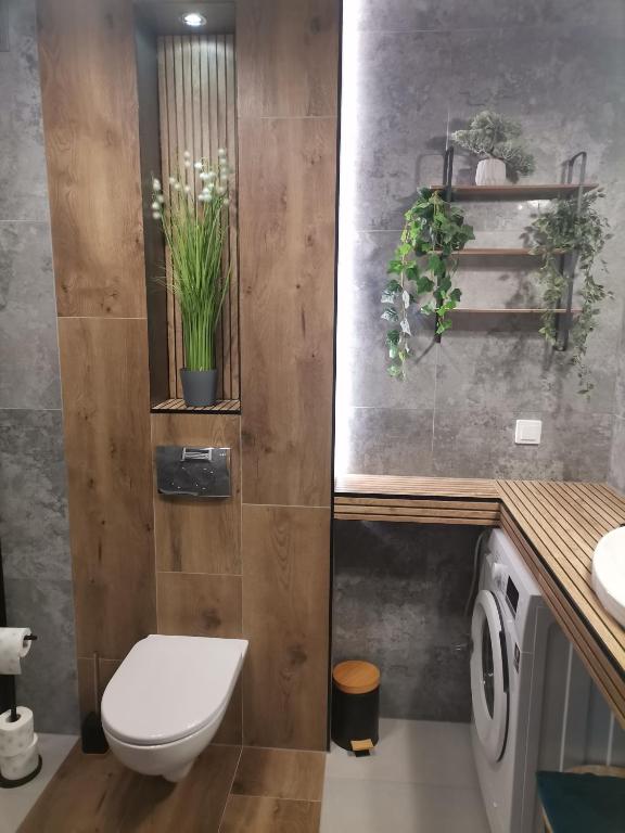 Łazienka w obiekcie Apartament Górska Szarotka
