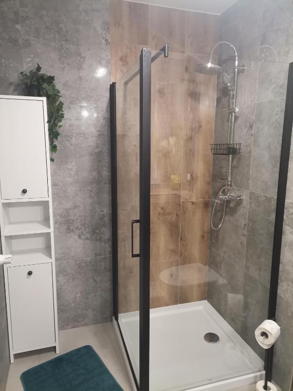 Łazienka w obiekcie Apartament Górska Szarotka