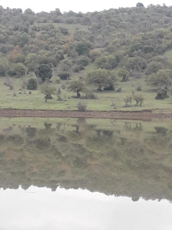 a reflection of a field and trees in a body of water at Ωρίωνας in Pýli