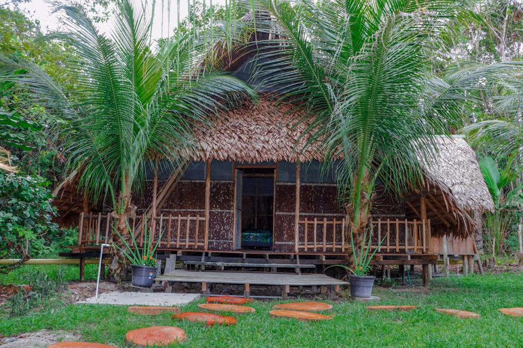 une petite cabane avec un palmier en face de celle-ci dans l'établissement Hospedaje SELVA DE AVES, à Leticia