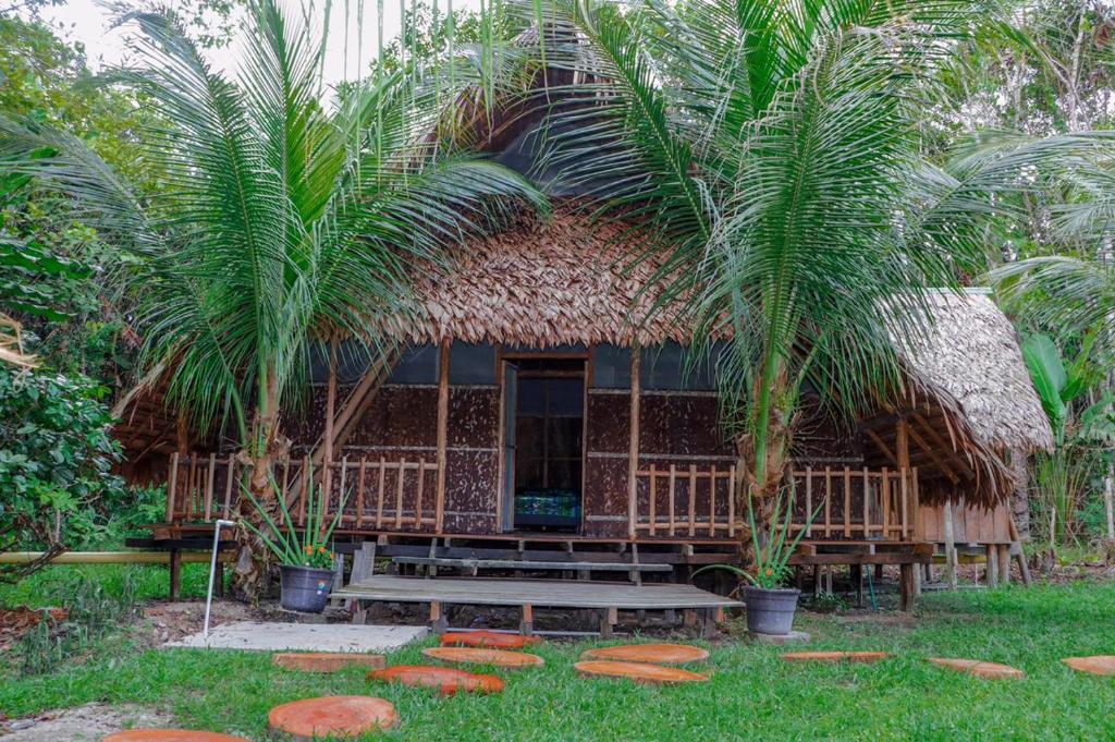 a small hut with a palm tree in front of it at Hospedaje SELVA DE AVES in Leticia