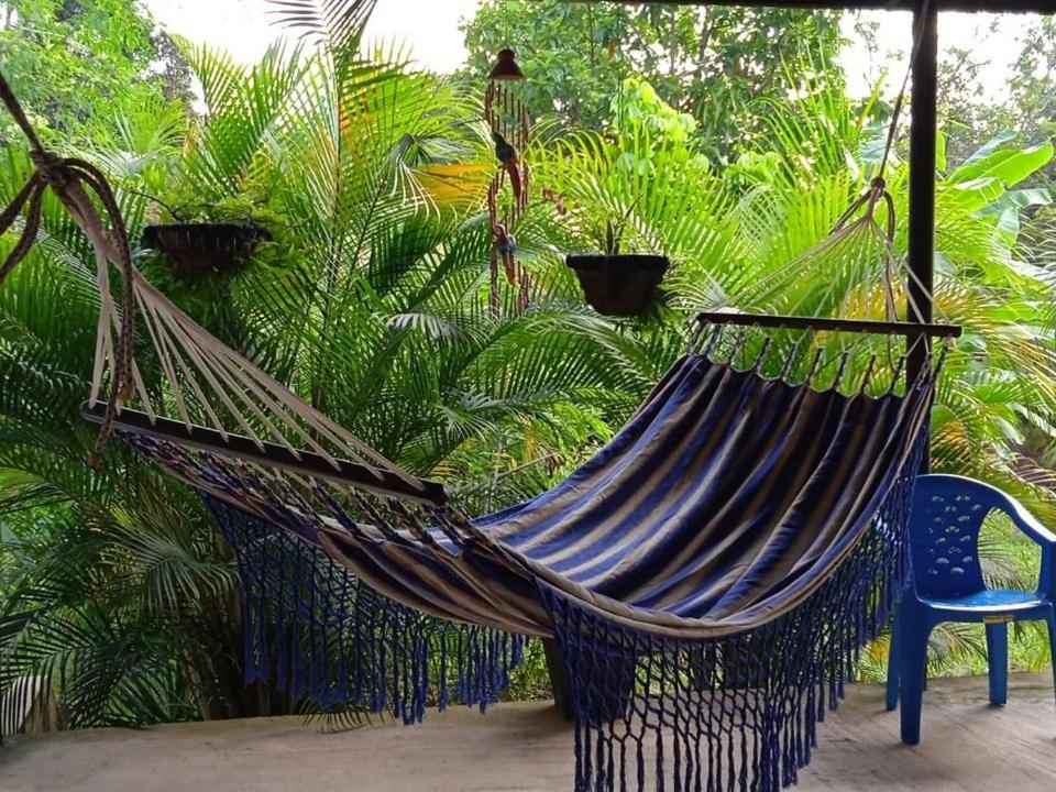 una hamaca en un jardín con una silla y palmeras en CASA CAMPESTRE EL RINCON VERDE, en Rivera