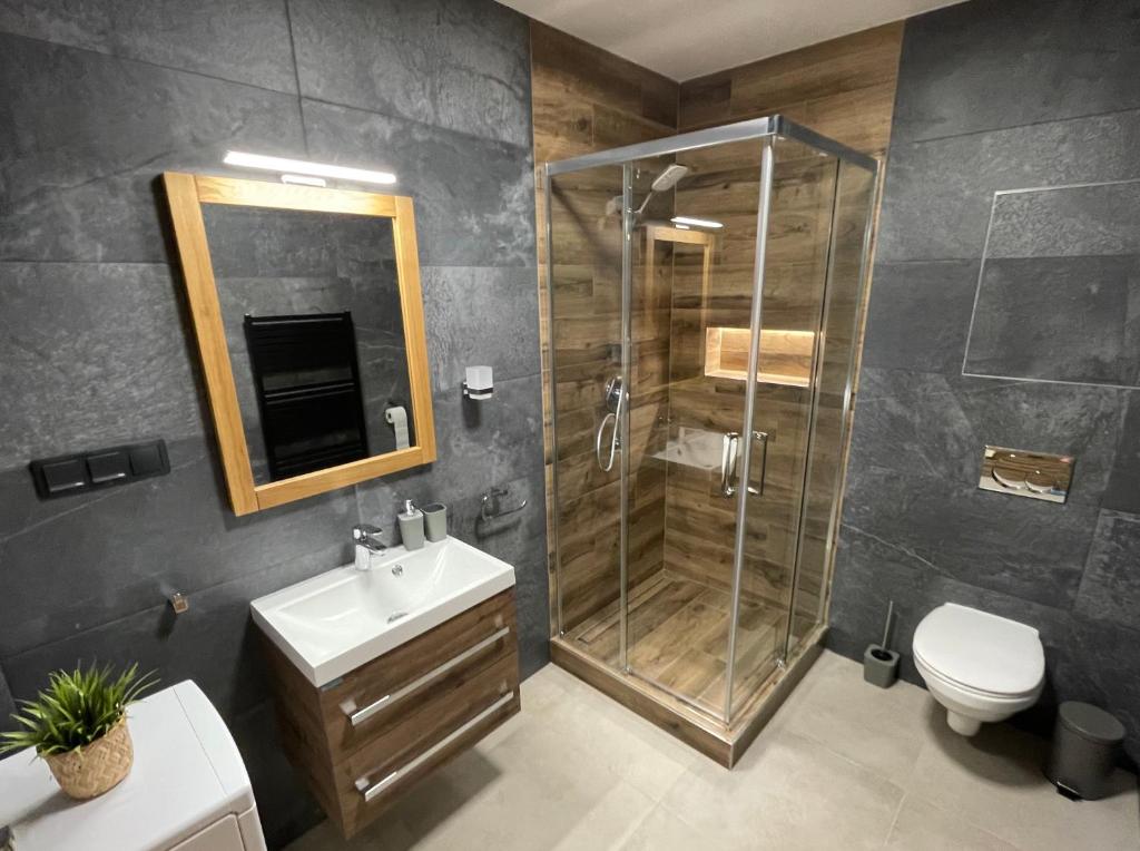 een badkamer met een douche, een wastafel en een toilet bij New Apartment Matilda - Tatranská Lomnica in Tatranská Lomnica