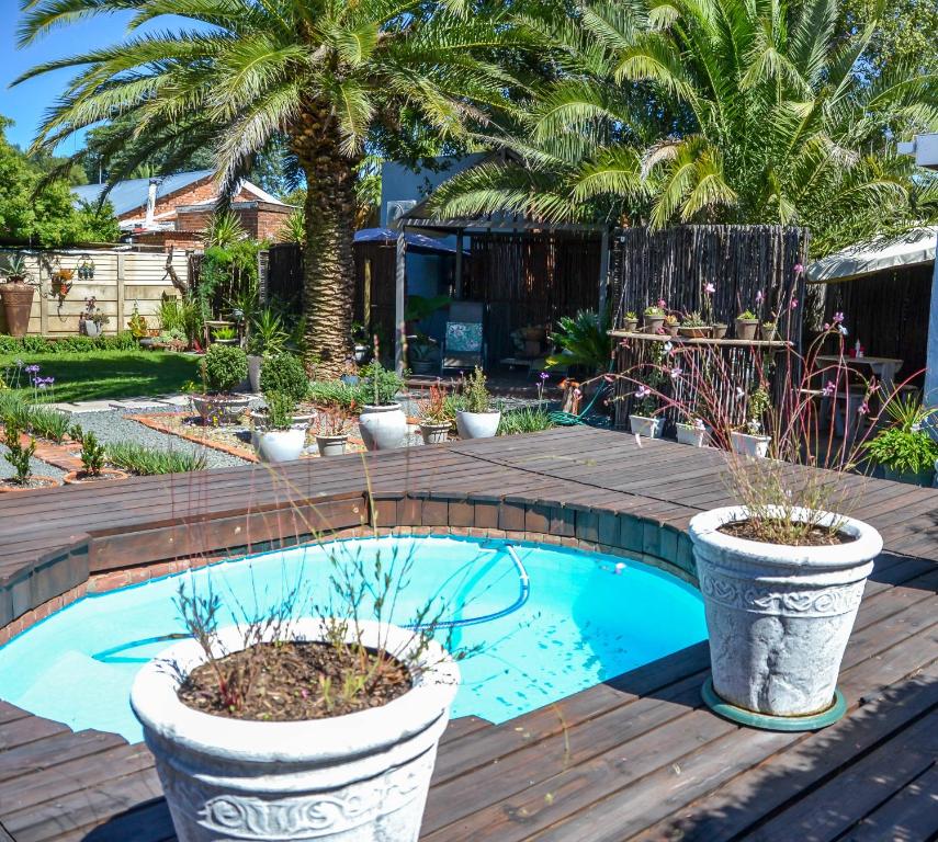 a swimming pool with two potted plants on a wooden deck at Biki Plek in Kimberley