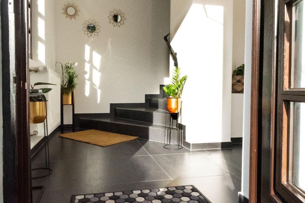 un pasillo con escaleras negras con plantas. en Hotel Kavala en Lohmar