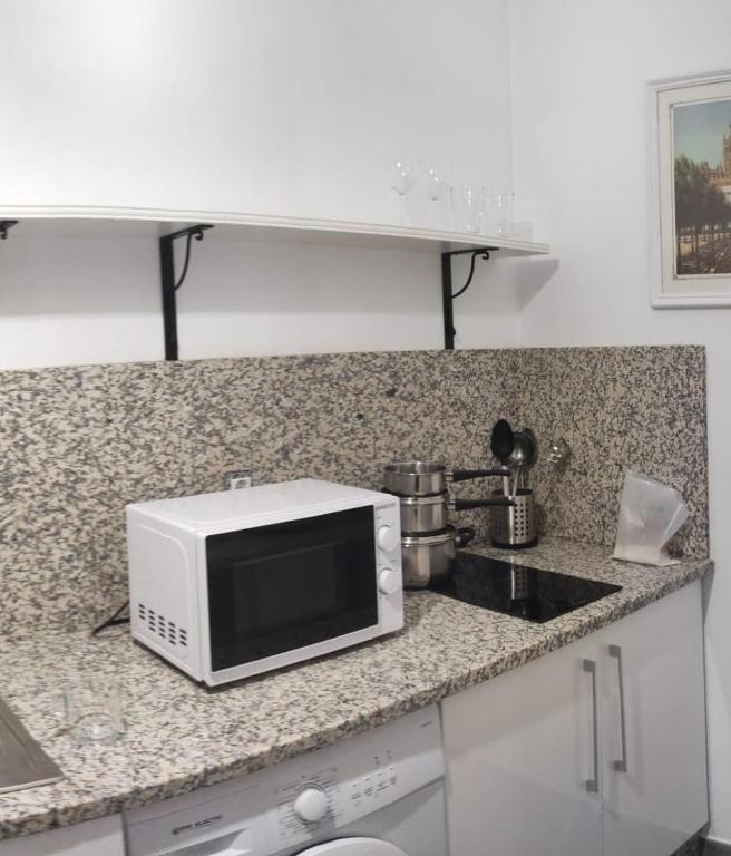 Kuchyňa alebo kuchynka v ubytovaní Apartamento en Urbanización Residencial - Roble, 5