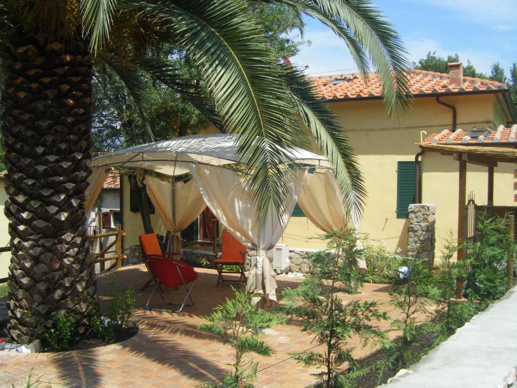 a patio with a palm tree and a house at Appartamento Giacomo in Cavo