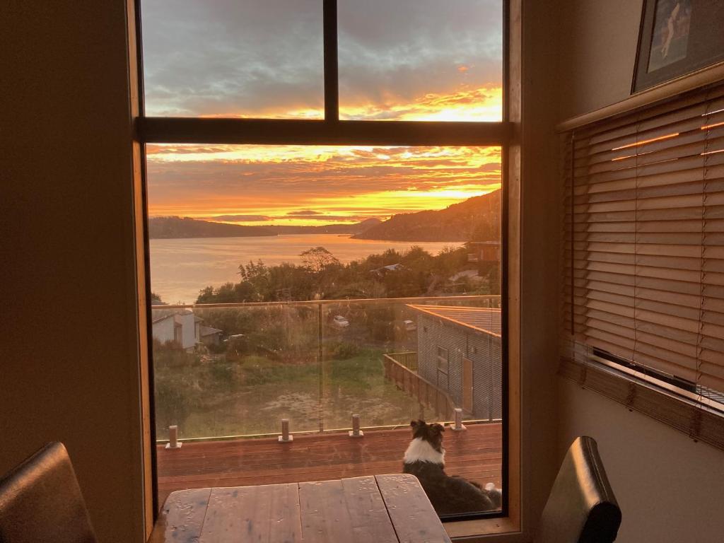 a cat sitting at a table looking out a window at the sunset at Commanding Harbour views exquisite sunset vista in Dunedin