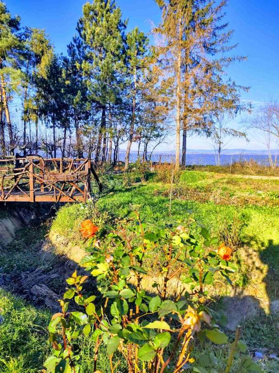 a wooden bridge in a field with trees at Dedinski Raj in Golubac
