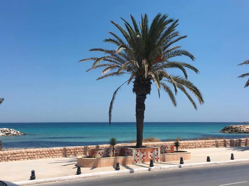 En strand vid eller i närheten av lägenheten