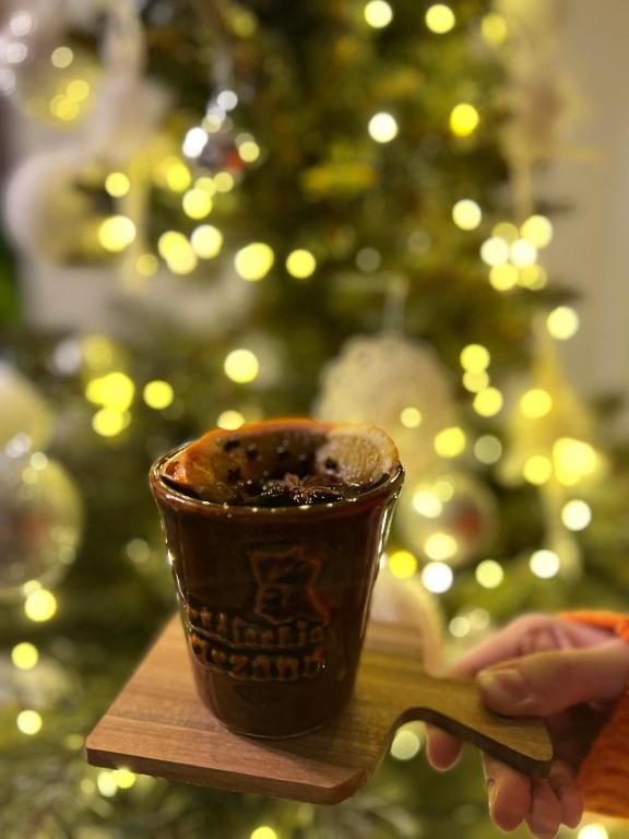 Hotel Nosal Ski & Wine - Resim 20