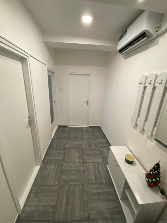 Foto dalla galleria di Vlasic Apartmani CENTAR a Vršac
