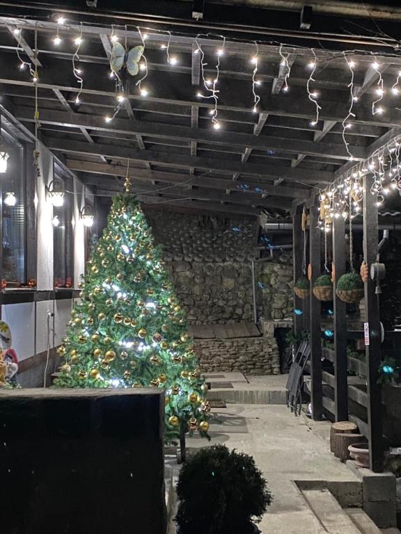 Fitness centrum a/nebo fitness zařízení v ubytování Pensiunea Eugenia