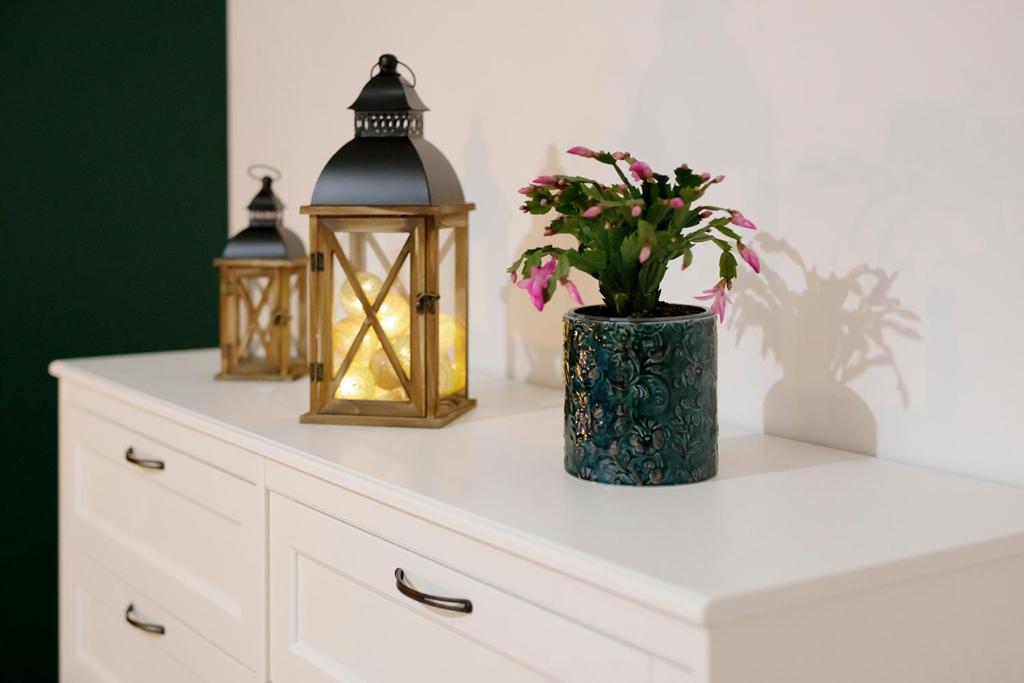 Na zielonym Widoku - 11