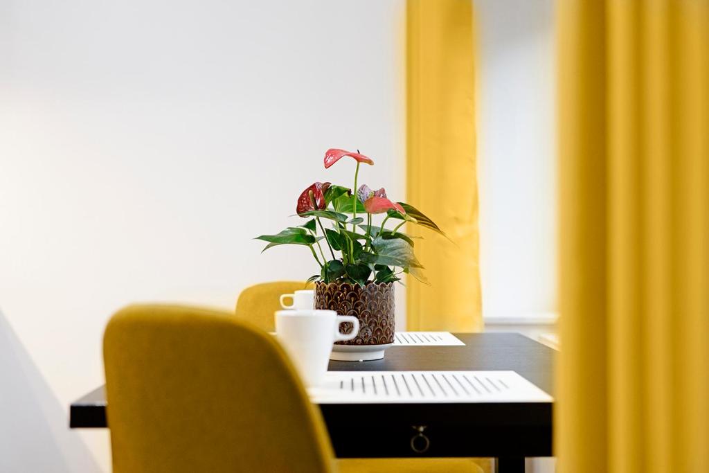 Na zielonym Widoku - 8