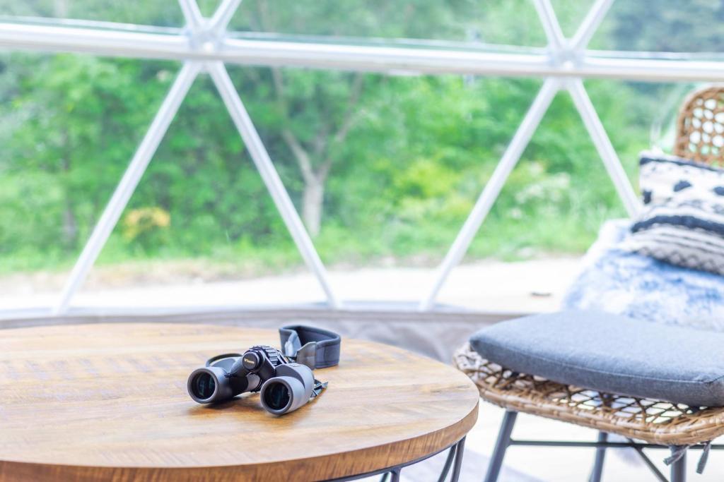 Fotografie z fotogalerie ubytování mokki STARDUST GLAMPING v destinaci Ači