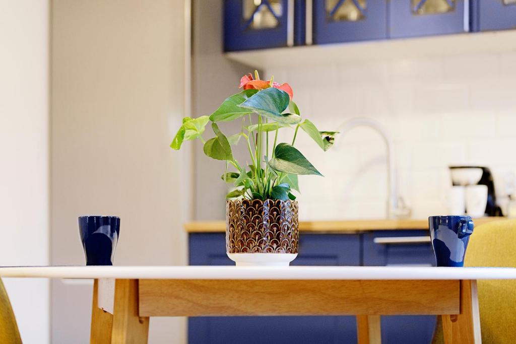 Na niebieskim Widoku - 10