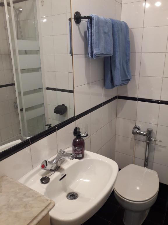 Koupelna v ubytování Apartamento turístico Jardines de Asura