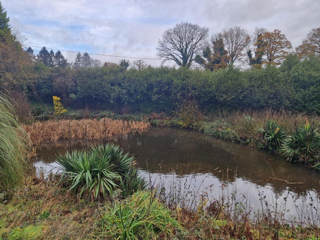 a small pond in the middle of a field at La Bannerie in Mesnil-Clinchamps