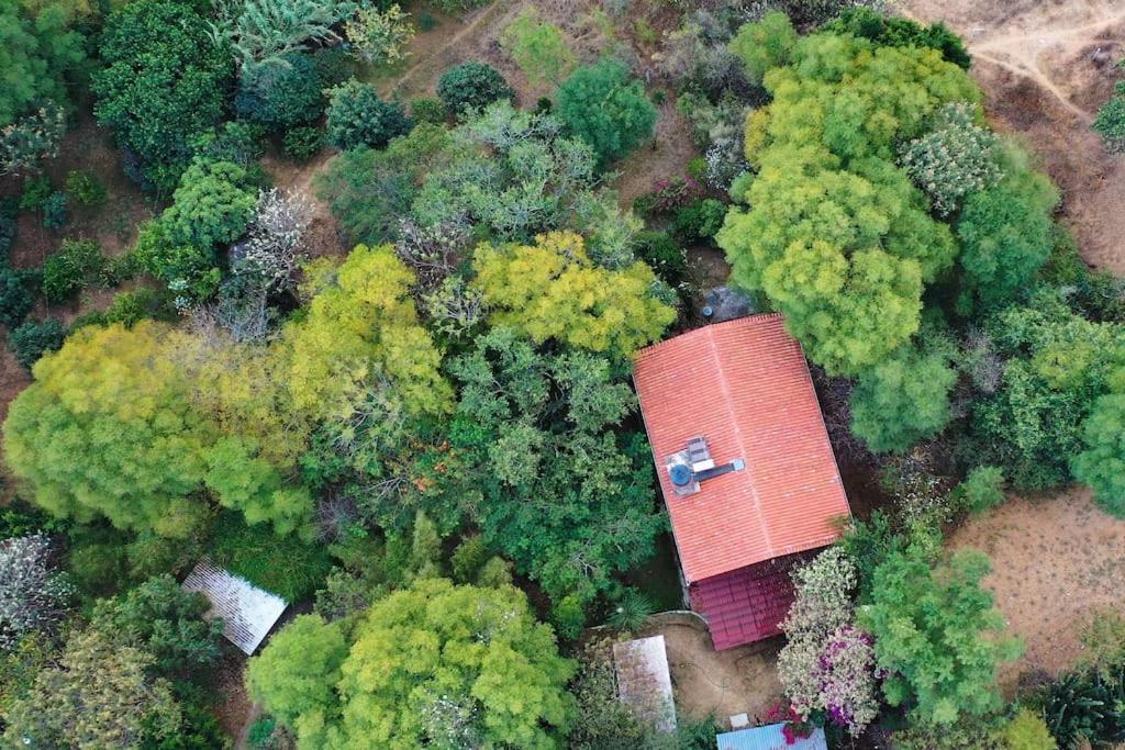 an overhead view of a red building in the forest at La casa de Buenavista. 