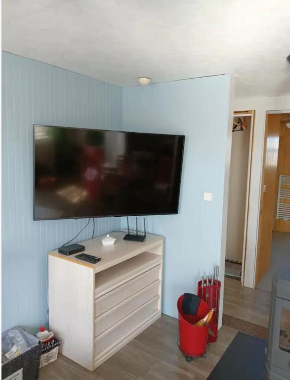 TV a/nebo společenská místnost v ubytování Les Aigus