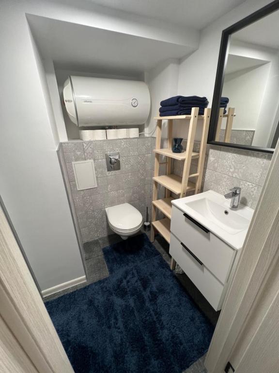 bagno con servizi igienici, lavandino e specchio di GREEN Apartment a Riga