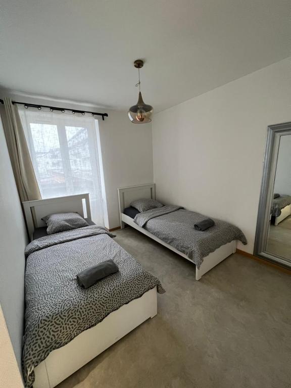 a bedroom with two beds and a mirror at Appartement neuf, centre-ville, 400m de rivetoile in Strasbourg