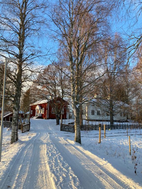 Gammelgården Guesthouse v zimě