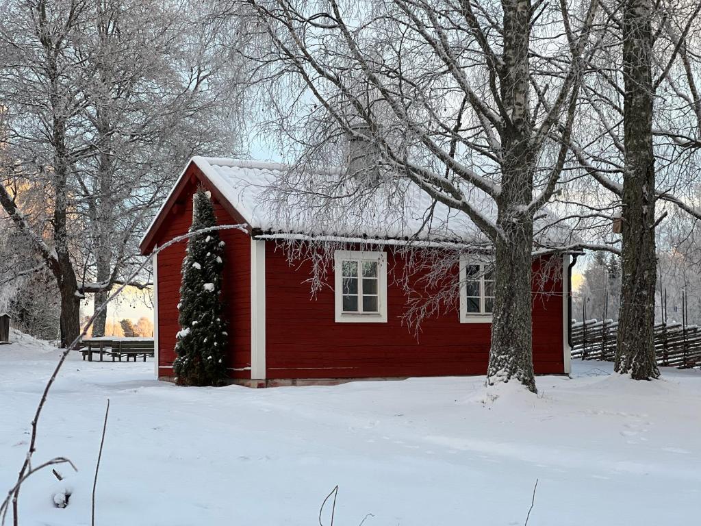 Gammelgården Guesthouse v zimě