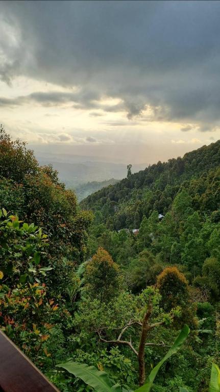 Munduk V View House - 8