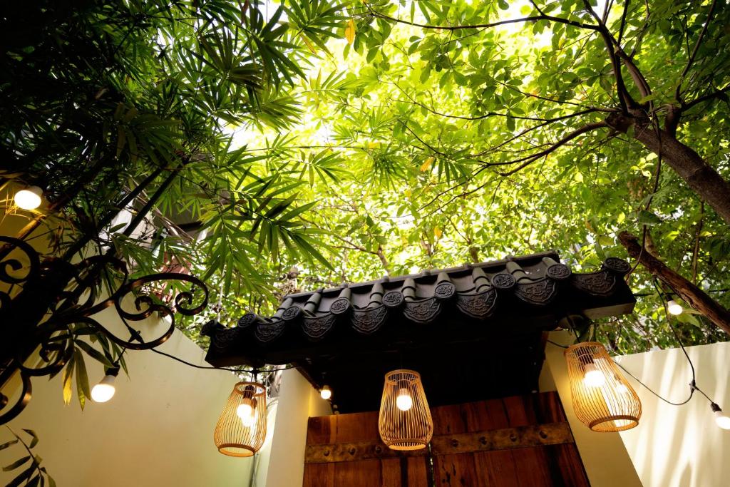 胡志明市的住宿－The Lovenote Home，挂在树上的灯笼