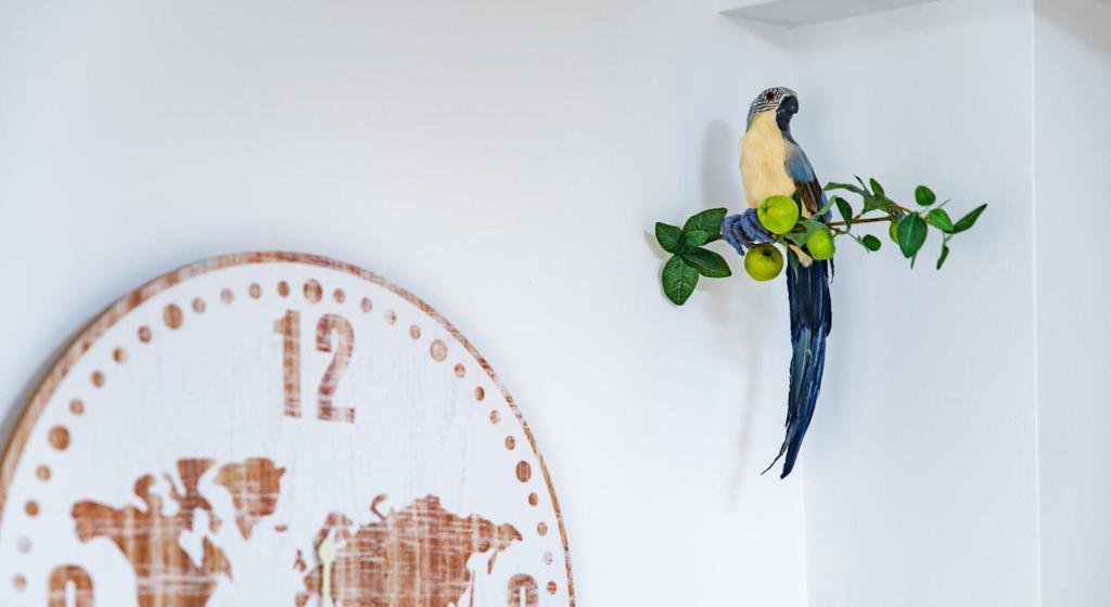 a bird perched on a branch next to a clock at Parrot’s House in Lloret de Mar